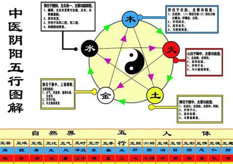 金融五行属什么